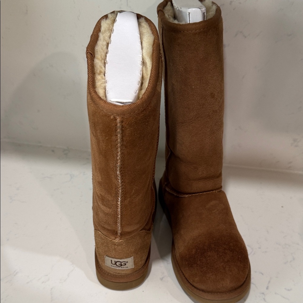 UGG Chestnut Suede Boots